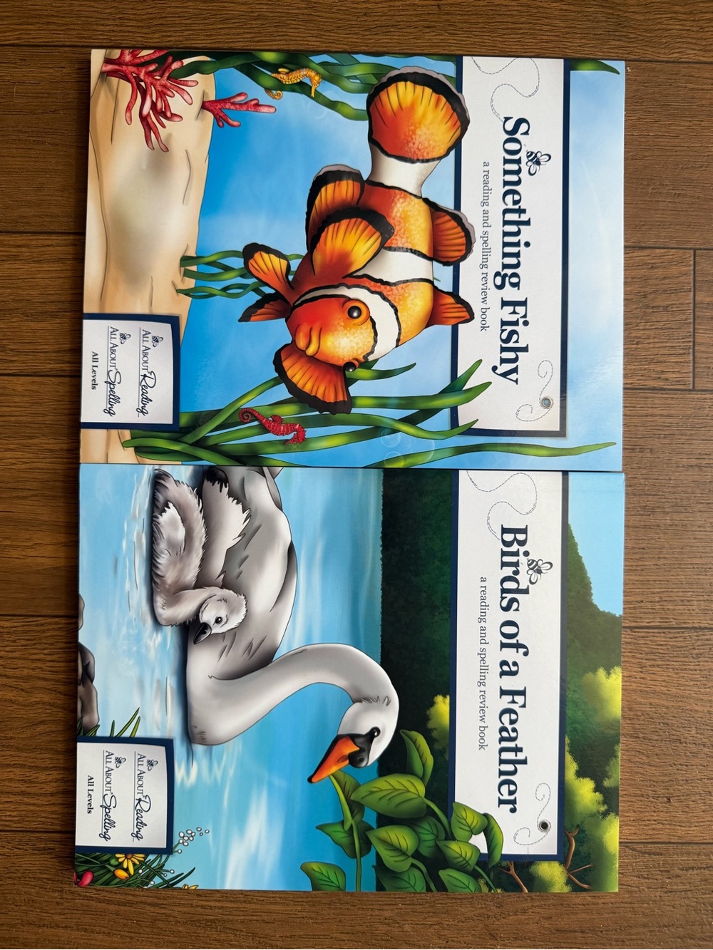 Something Fishy All About Reading Supplement Book Homeschool Learning